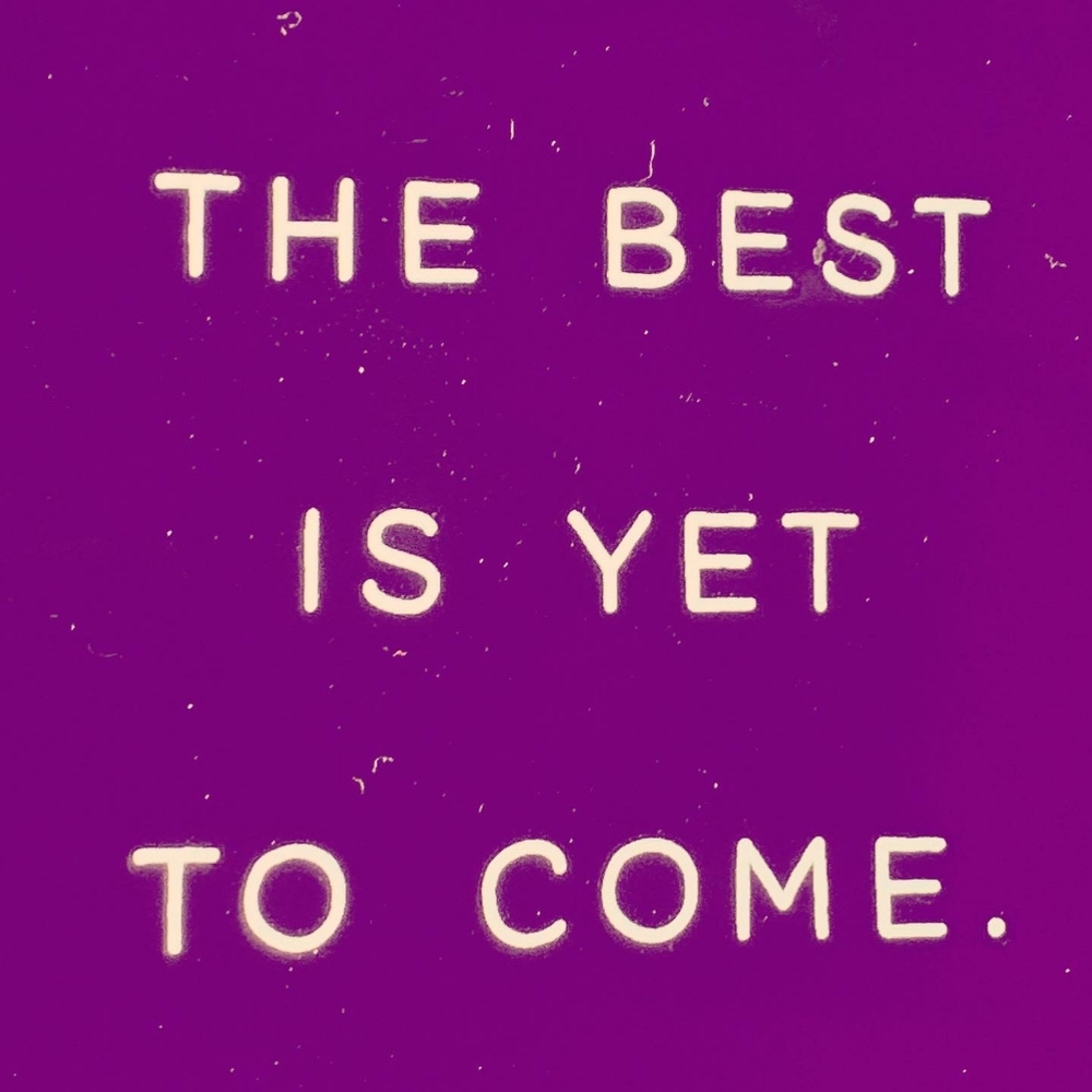 Meet your Posher, Ginger